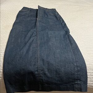 Zara Indigo Denim Skirt
